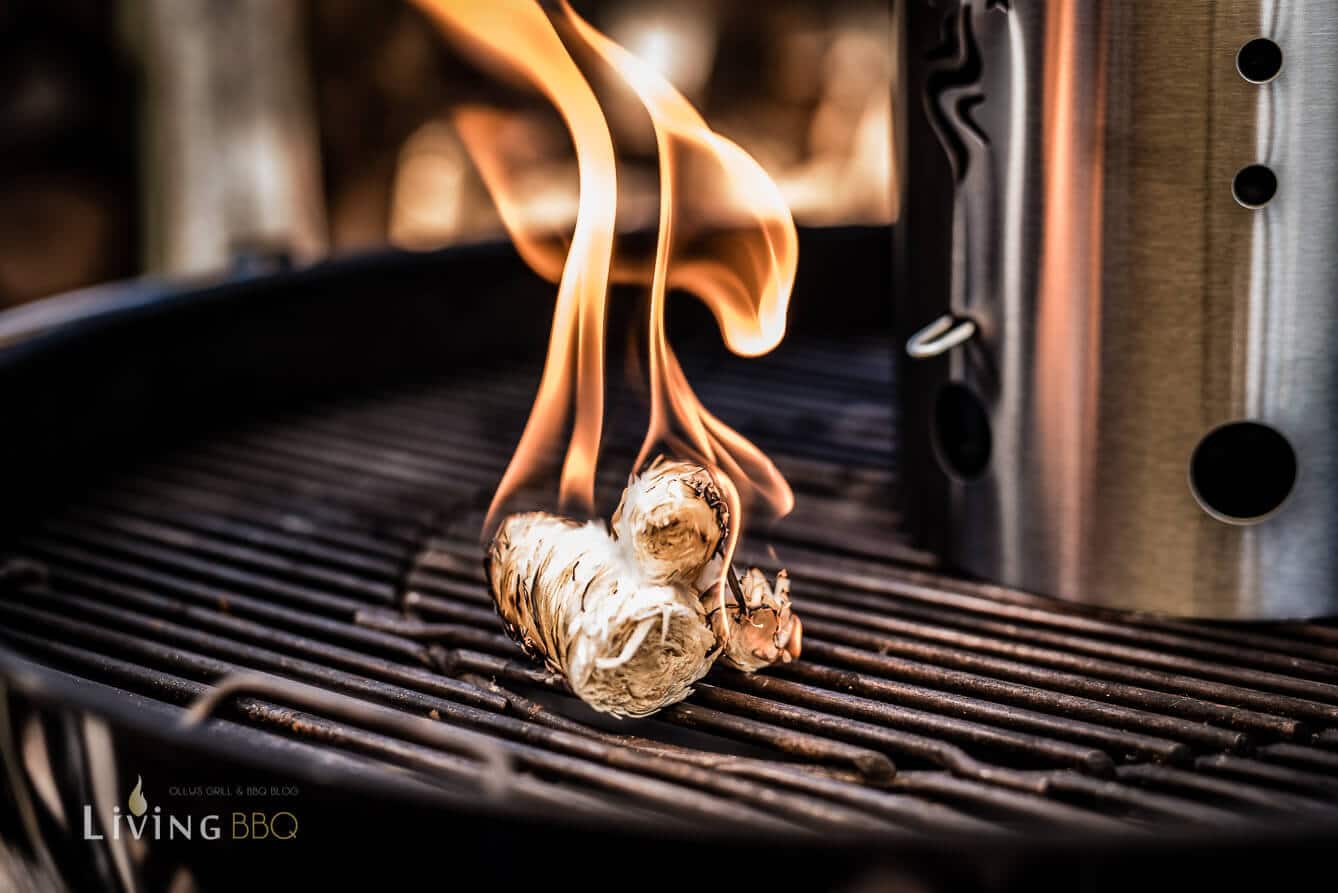 Grillanzünder und Anzündkamin