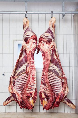 Rib Eye Steak (Entrecote) – Was ist das?_Rinderha lften e1509876319704 333x500_rib eye steak rib eye steak_Rinderha lften e1509876319704 333x500