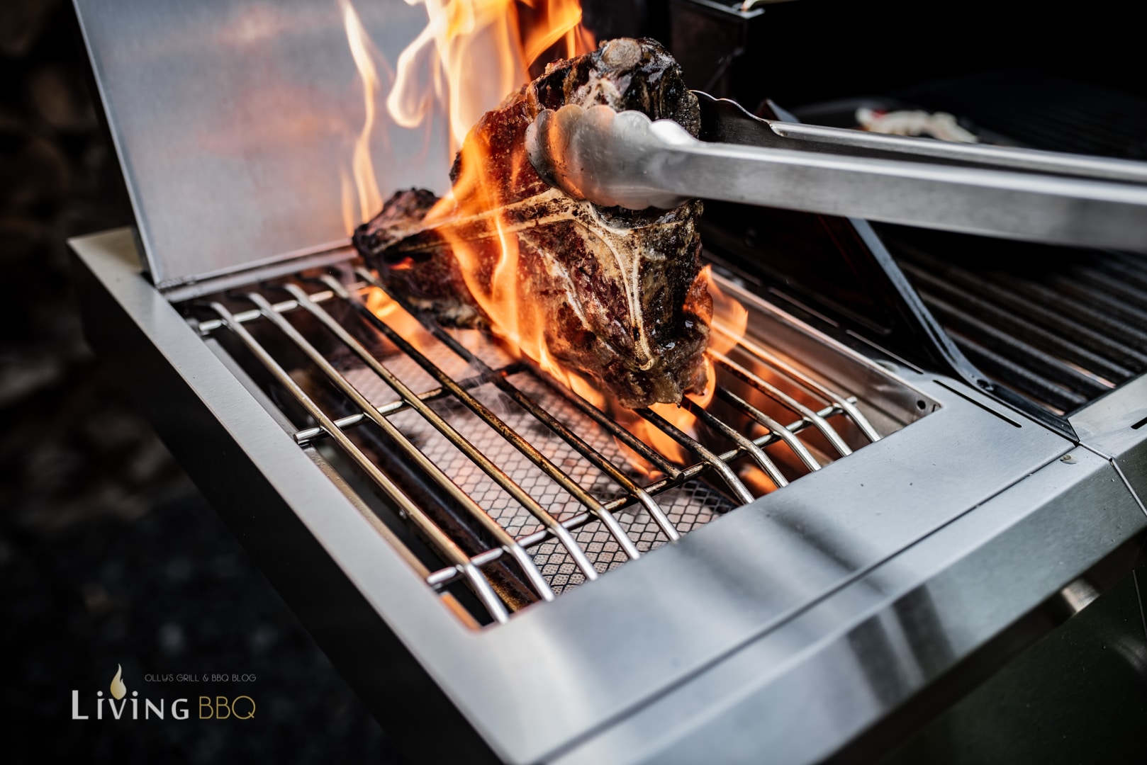 Welche Temperatur Gasgrill Steak Grillfürst G310 Gasgrill Test - Günstiger Gasgrill, top Leistung