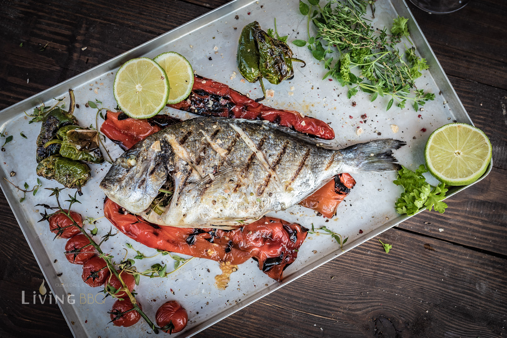 Dorade Grillen